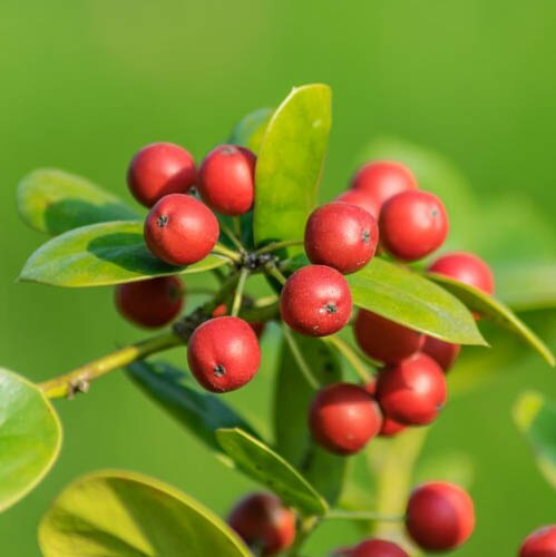 Welcome to our coffee wonderland