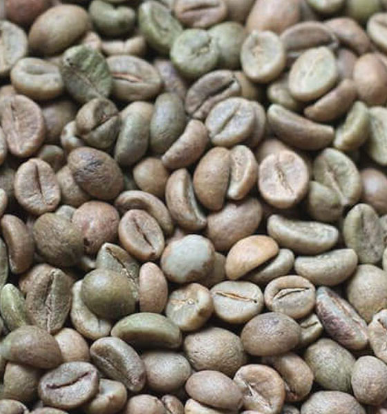 Arabica and Robusta Blend